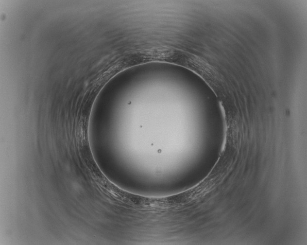 X0000063481058200601231341