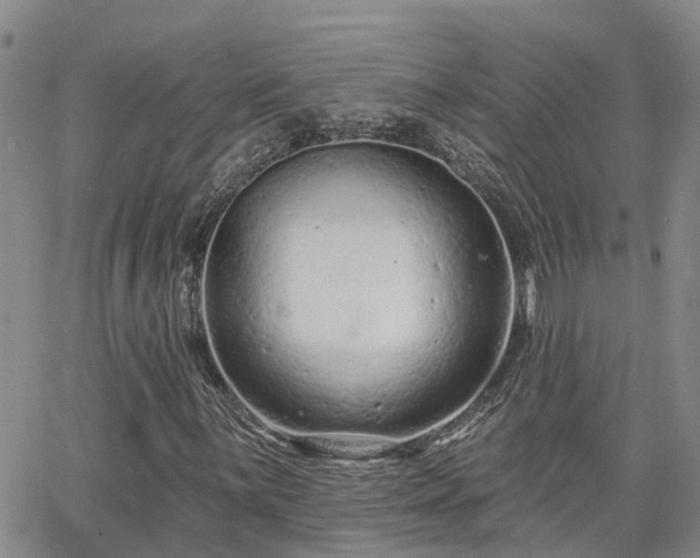 X0000063481059200601231341