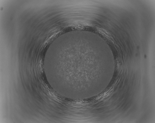 X0000063481060200601231341