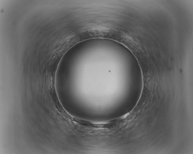 X0000063481061200601231341