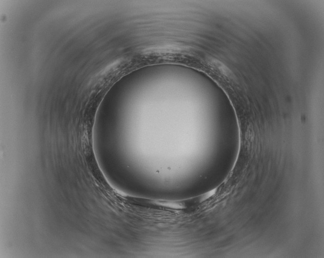 X0000063481062200601231341