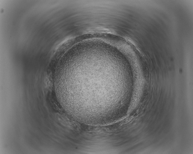 X0000063481063200601231341