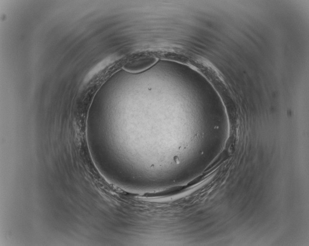 X0000063481064200601231341