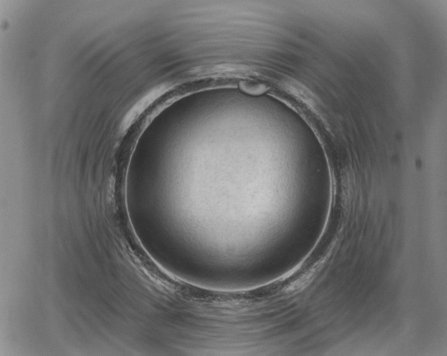 X0000063481066200601231341