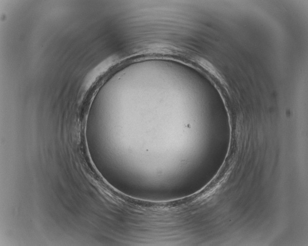 X0000063481067200601231341