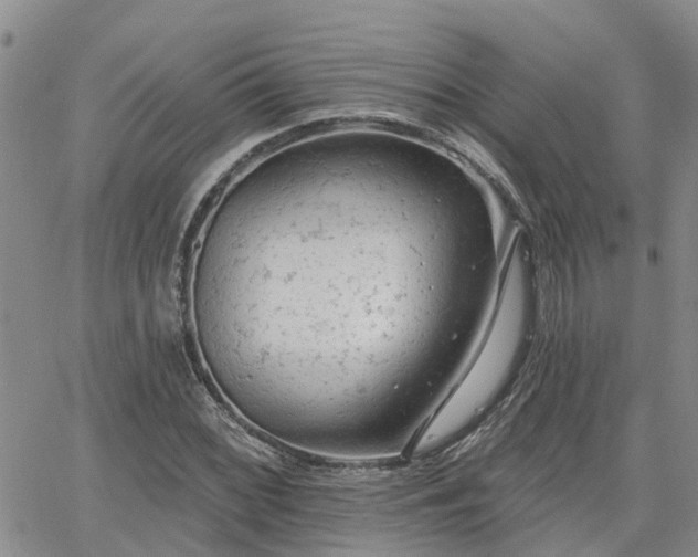 X0000063481068200601231341