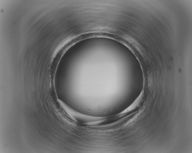 X0000063481069200601231341