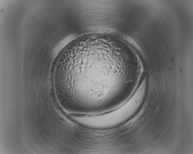 X0000063481071200601231341