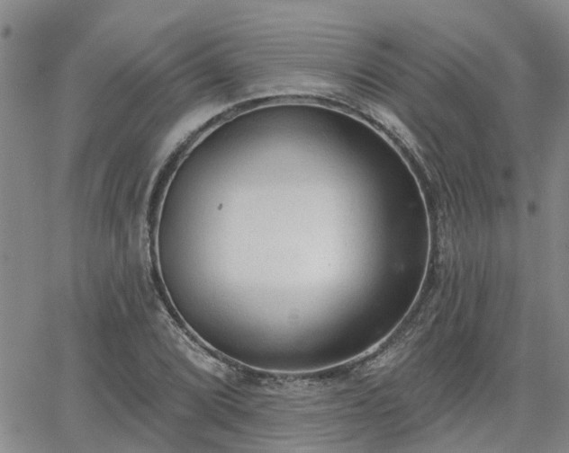 X0000063481072200601231341