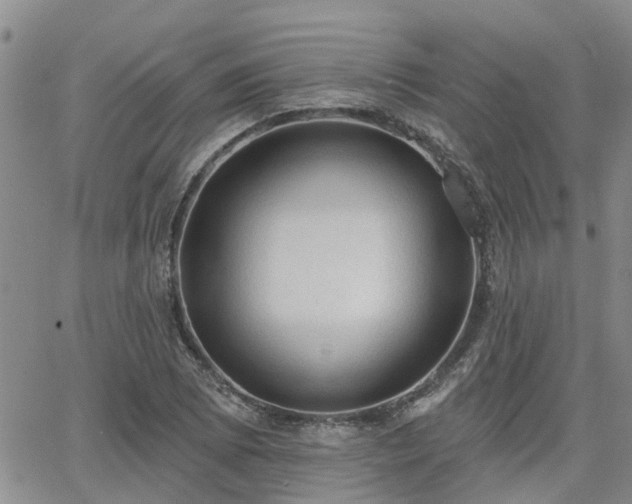 X0000063481073200601231341