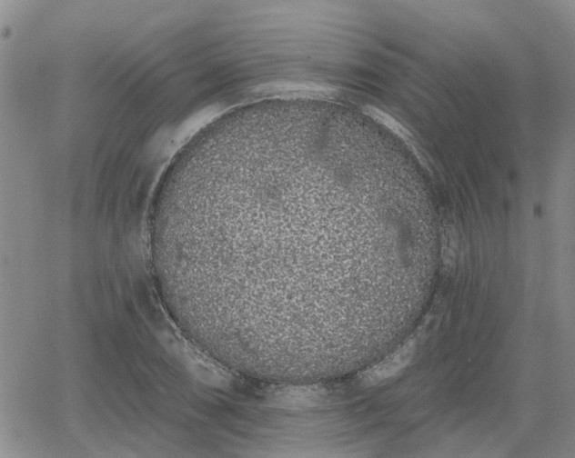 X0000063481074200601231341