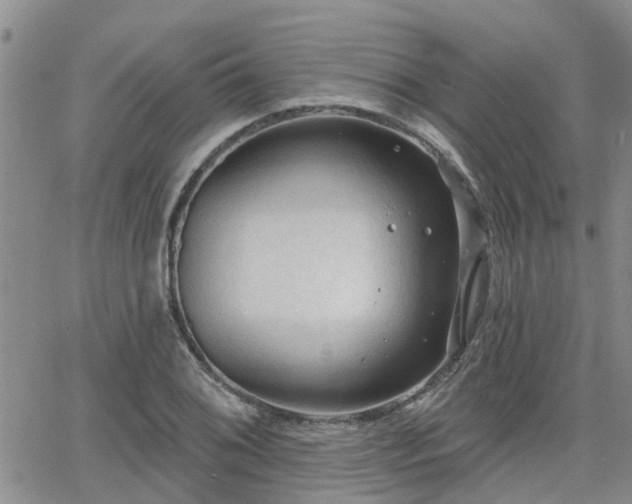 X0000063481076200601231341