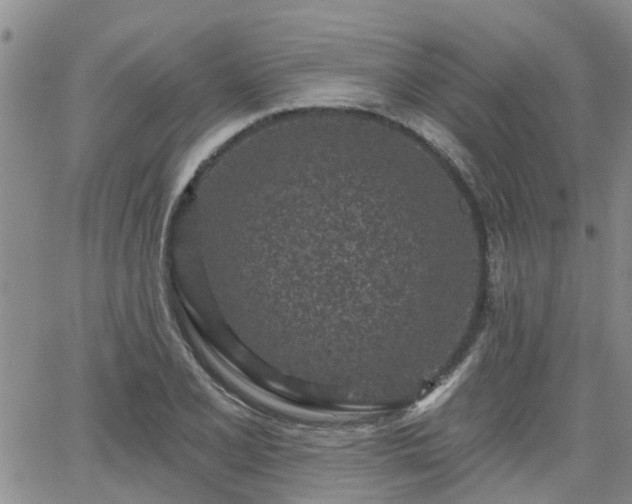 X0000063481077200601231341