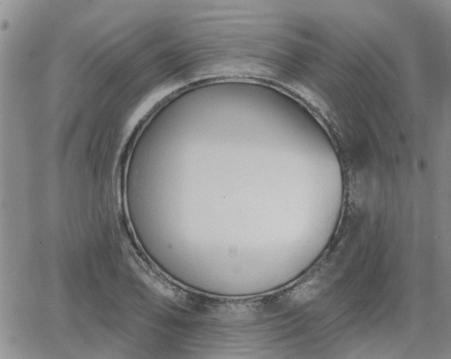 X0000063481078200601231341