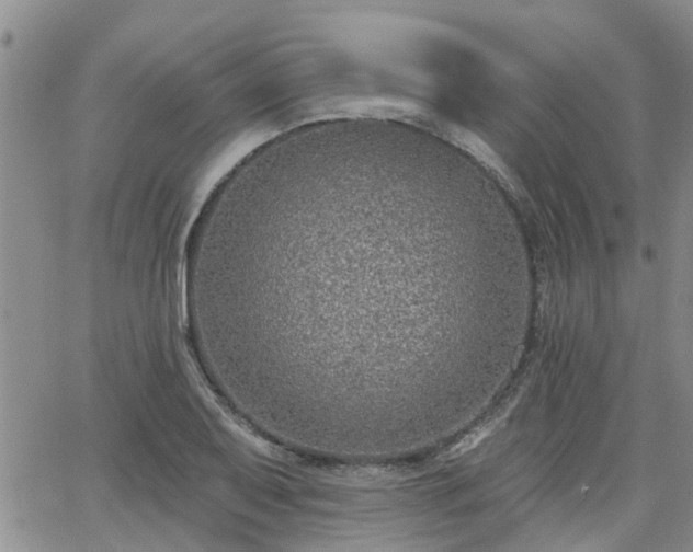 X0000063481079200601231341