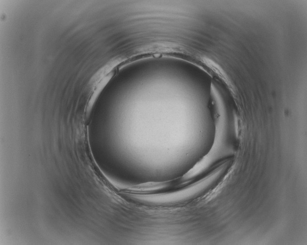 X0000063481081200601231341