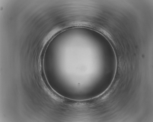 X0000063481082200601231341