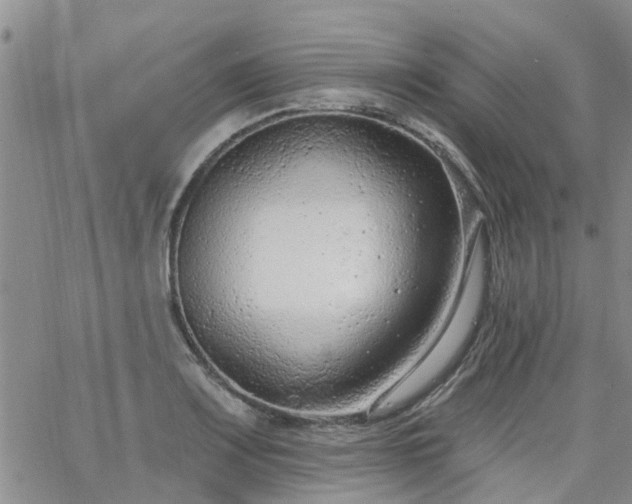 X0000063481083200601231341