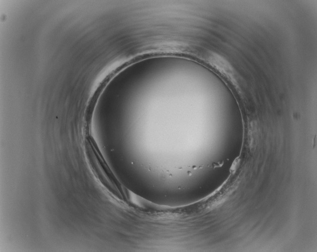 X0000063481085200601231341