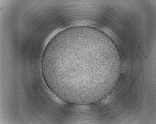 X0000063481086200601231341