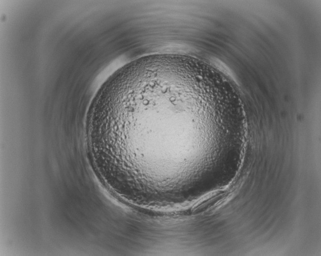 X0000063481087200601231341