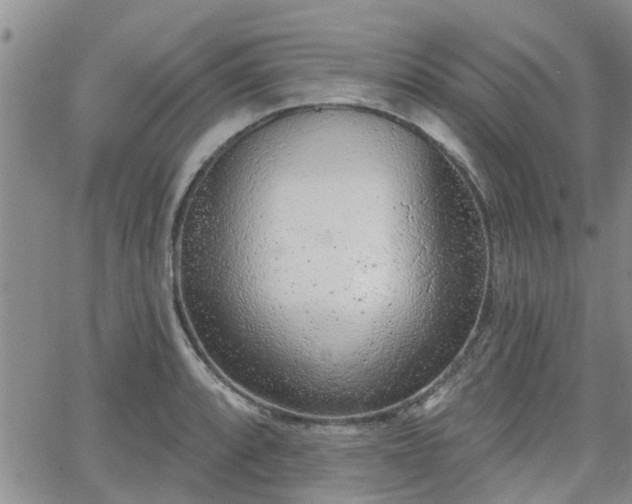 X0000063481088200601231341