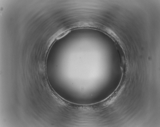 X0000063481089200601231341