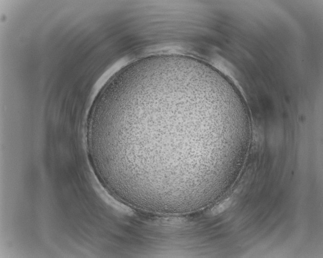 X0000063481090200601231341