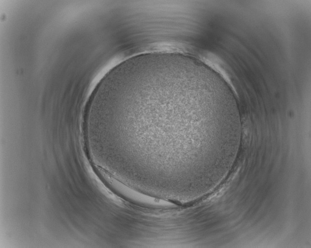 X0000063481091200601231341