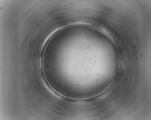 X0000063481092200601231341