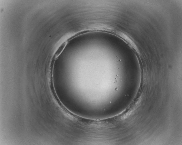 X0000063481093200601231341