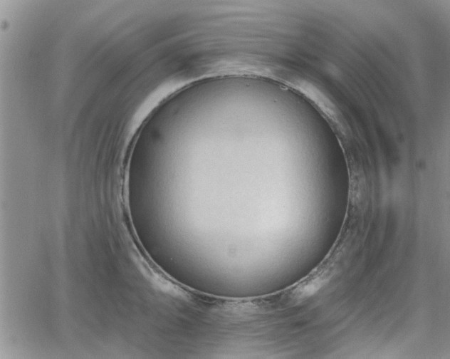 X0000063481094200601231341