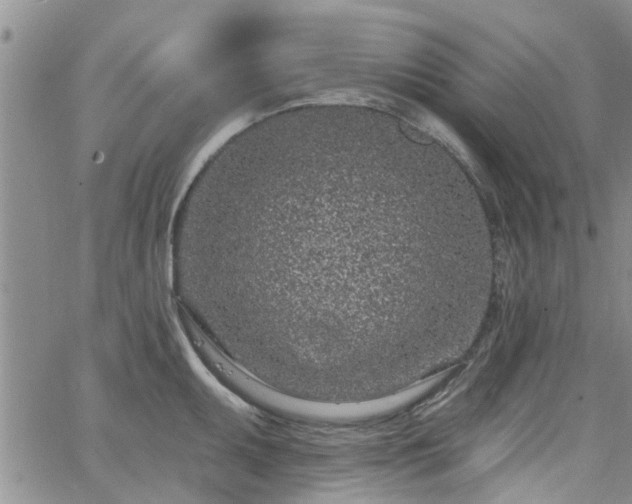 X0000063481095200601231341