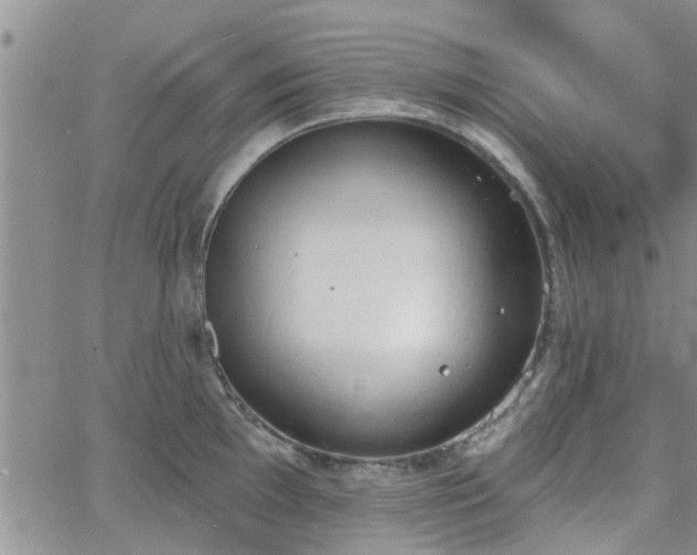 X0000063481097200601231341