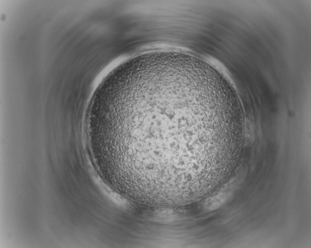 X0000063481098200601231340