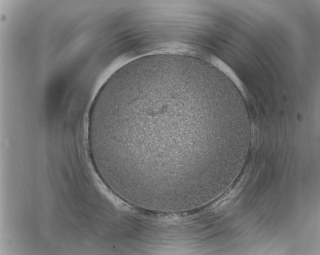 X0000063481099200601231340