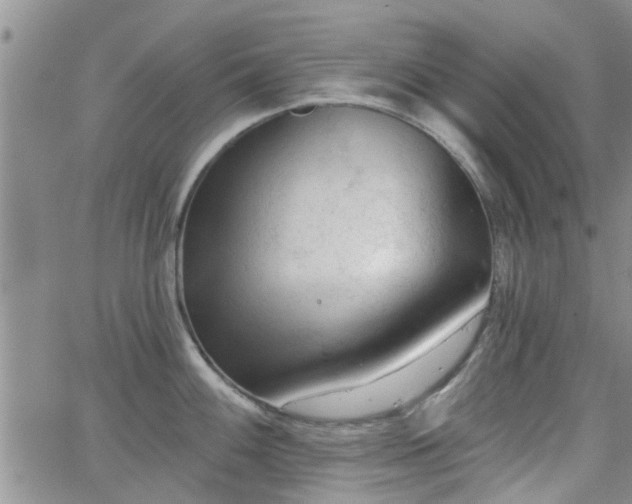 X0000063481100200601231340