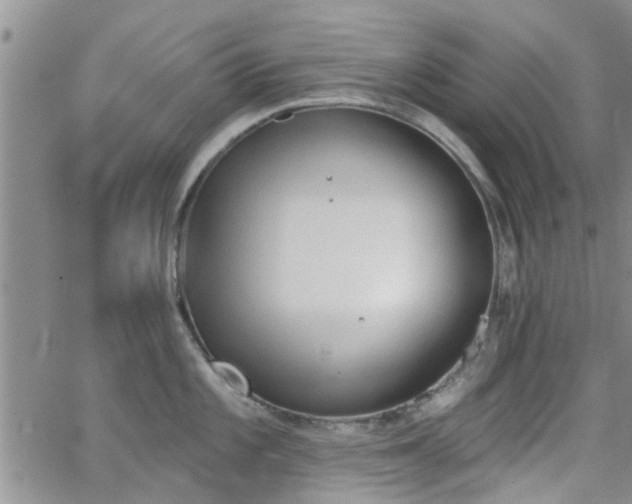 X0000063481101200601231340