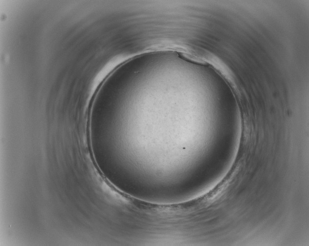 X0000063481102200601231340