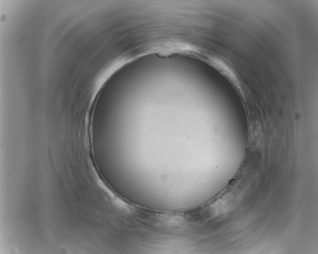 X0000063481103200601231340