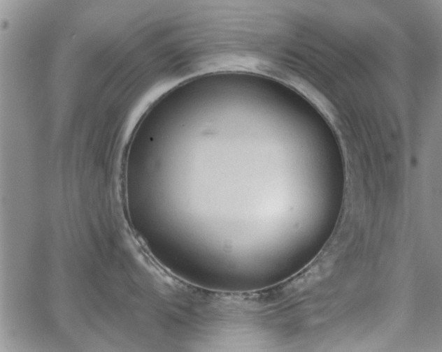 X0000063481104200601231340