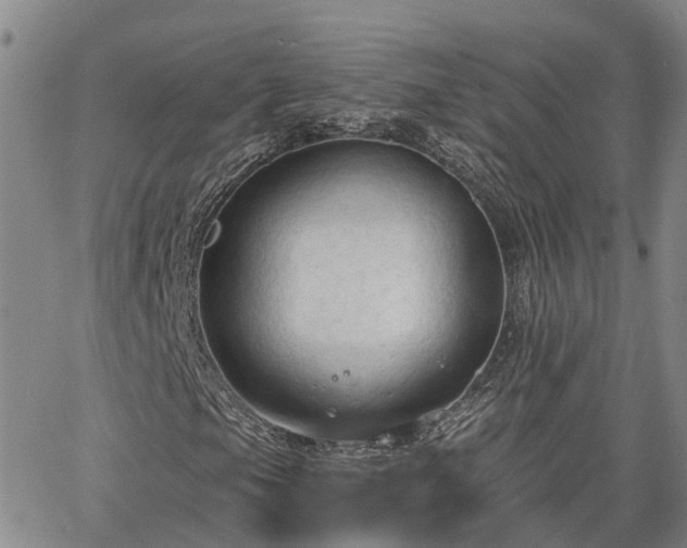 X0000063481105200601231340