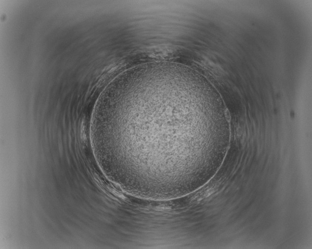 X0000063481106200601231340