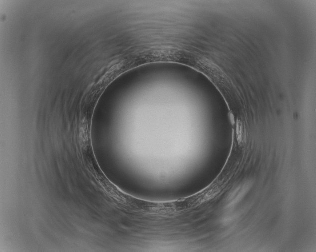 X0000063481107200601231340