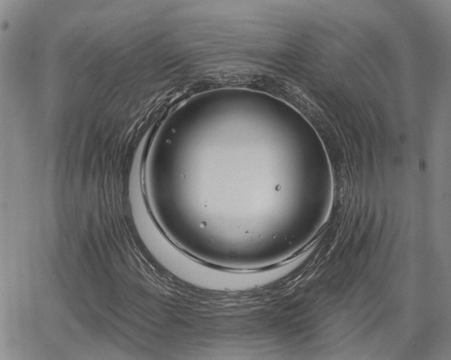 X0000063481108200601231340