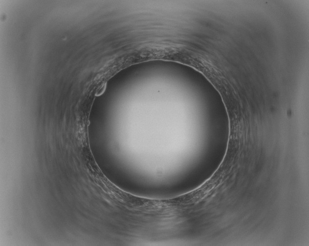 X0000063481109200601231340