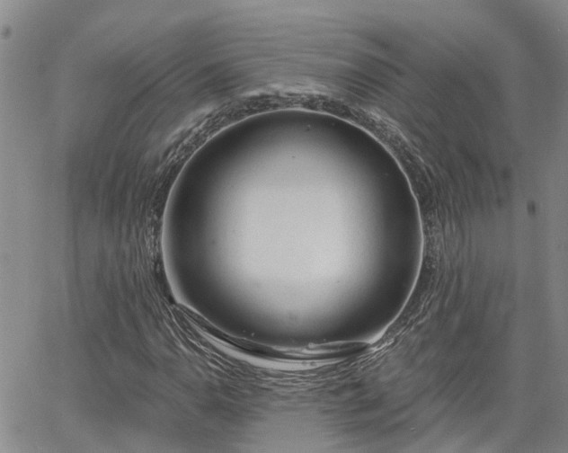 X0000063481110200601231340