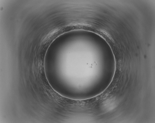 X0000063481111200601231340