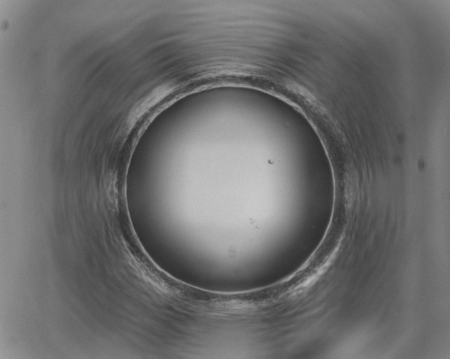 X0000063481113200601231340