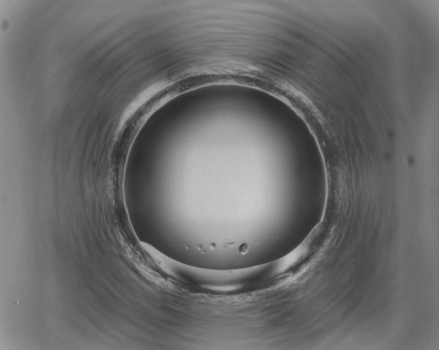 X0000063481114200601231340